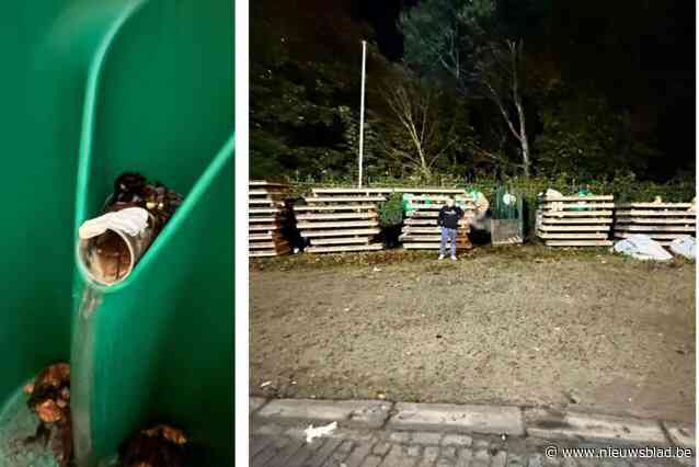 Voetbalsupporters Anderlecht niet te spreken over staat van toiletten rond stadion: “Je loopt door een moeras van urine”