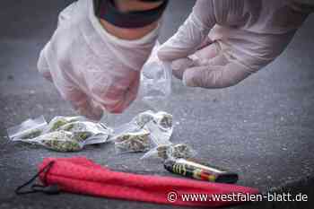 Kokain im Plastik-Ei sichergestellt