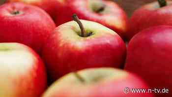Ab Herbst in Deutschland: Apfel für Allergiker kommt auf den Markt