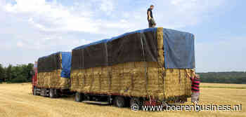 Nog even en stro is duurder dan weidehooi