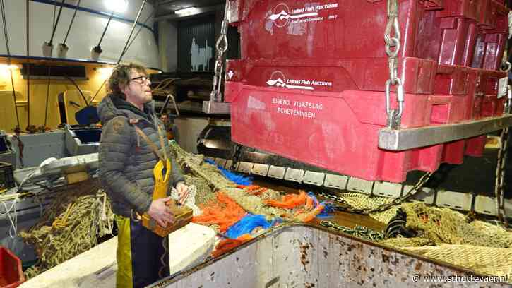 Tong duikt diepte niet meer in en is makkelijk vangbaar