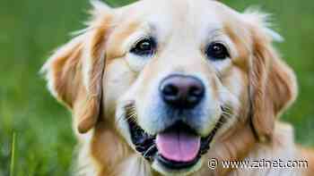 Need stock images? I tested Getty's 'safe' AI generator - and it's good (with caveats)