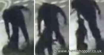 Man filmed abusing XL Bully slapped with two-year ban after Newsquest exclusives