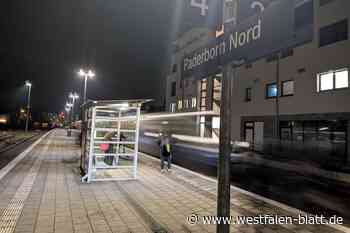 Grippewelle führt zu Zugausfällen