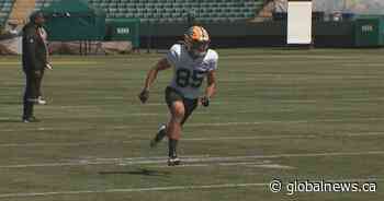 Winnipeg Blue Bombers kick off start of CFL free agency by signing two receivers