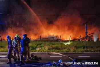 Wereld-delen kan waarschijnlijk straks weer terug naar thuishaven Ranst verhuizen
