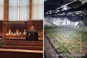 Acht verdachten terecht voor betrokkenheid bij cannabisplantage