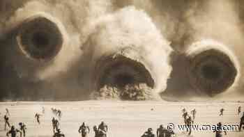 2025 Oscar Nominees on Streaming: How to Watch 'The Wild Robot', 'Dune 2' and More