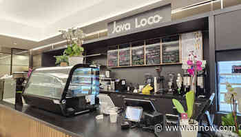 Java Loco bubble tea cafe expands to Crystal City with new items