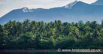 Avoid the 'Western diet' and eat like residents of these Pacific islands, scientists say