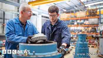 Maths and English skills ditched for adult apprentices