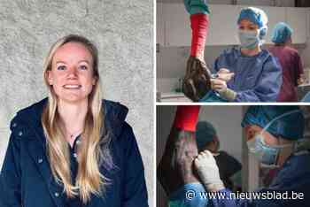 Baanbrekend doctoraatsonderzoek van Antwerpse toppaardenchirurg Nazaré Storms: “Behandeling met stamcellen kan eigenaars hoop bieden”