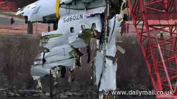 Scientists warn of new threat that'll make airplane disasters more common... after deadly string of crashes