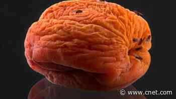 Fruit Flies Taking Over? Here's How to Get Rid of Them for Good