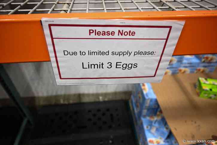 Costco latest retailer to limit egg purchases: What are other stores doing?