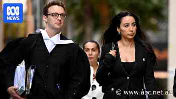 Lattouf was told posting information from 'reputable organisation' was OK