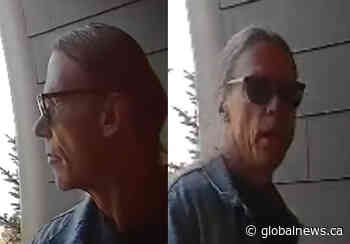 Calgary police ask for help to identify Mount Pleasant break-and-enter suspect