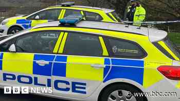 Passenger, 83, dies after single-vehicle accident