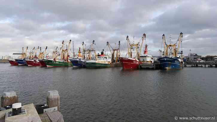 Samenwerkende kottervisserij wacht zonnige toekomst
