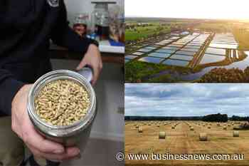 Capel home to innovative agribusiness