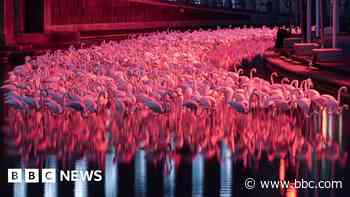 Headlines: Farmer protests and light festival crowds