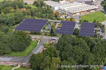 Storck investiert in Halle groß in Stromerzeugung bei Solar-Parkplätzen