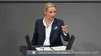 NU+ | Radicaal-rechtse AfD stoomt op in Duitse peilingen: wat wil de partij?
