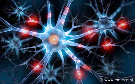 ‘Betere waarborging publieke waarden nodig bij neurotechnologie’