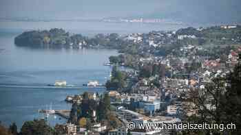 Warum die Zürcher Pfnüselküste bei Expats so beliebt ist