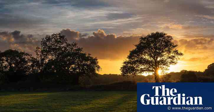 England’s wildlife watchdog failing to protect crucial sites, say campaigners
