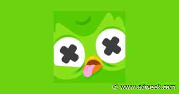 The Duolingo Owl Is Dead: An Investigation