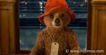 Grieving With Paddington