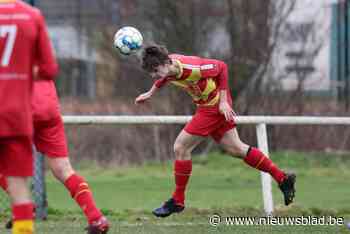 “De puzzelstukjes vallen stilaan in elkaar”: Zevergem Sportief is na 11 op 15 goed op weg om het behoud te verzekeren