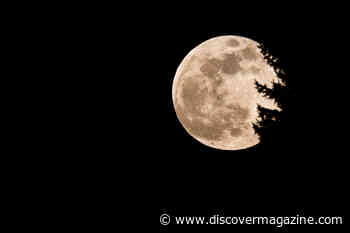 The 2025 Snow Moon Will be Visible Before Valentine's Day — Here's What to Know