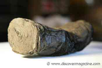 AI Revives 2,000-Year-Old Roman Scroll Burned in Mount Vesuvius Eruption