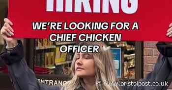 You could be a fried chicken taster and get paid £5,000
