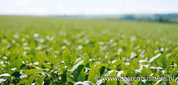 Teleurstellend geluid na marginale cijfercorrecties