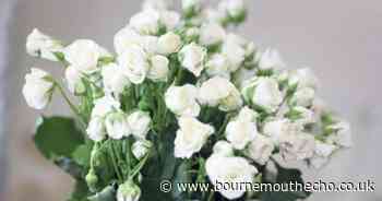 Coroner seeks next of kin for woman who died