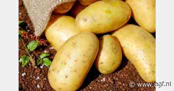 Egyptische aardappelexport 409 mln dollar