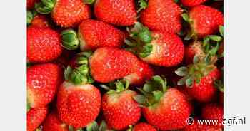 Eetbare biofilm verdubbelt houdbaarheid aardbeien