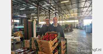 "Tijd is cruciaal voor transport aardbeien "