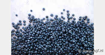 Chileense blauwe bessenexport +7%