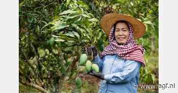 ImpactBuying eerste in Europa met hoogste standaard voor betrouwbare ESG-ketendata