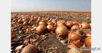 Spaans areaal bewaaruien ongewijzigd ondanks tegenvallende afzet