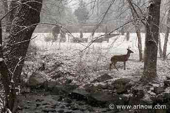 Morning Notes for February 12, 2025