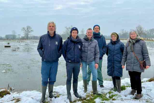 100.000 euro Europees geld om natuurgebied te herstellen als klimaatbuffer: “Omliggende woongebieden beter beschermen tegen wateroverlast”