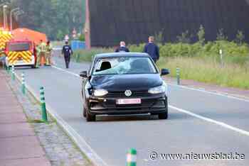 Chauffeur die Geert (38) doodreed had cocaïne gebruikt en was al eerder betrapt op rijden onder invloed