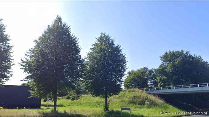 Almere - Bomen moeten verhuizen door werkzaamheden aan waterleiding