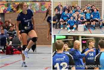 VOLLEYBABBELS. Oudenaarde pakt punt tegen de leider, Gimme Waasland wint derby en ook Hebo beleeft topweekend