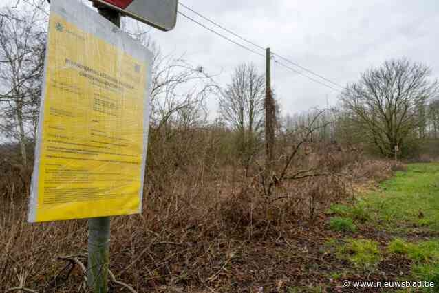 Schietstand krijgt groen licht, maar gemeente Puurs-Sint-Amands vraagt dringende schorsing van vergunning: “Deputatie in ivoren toren”